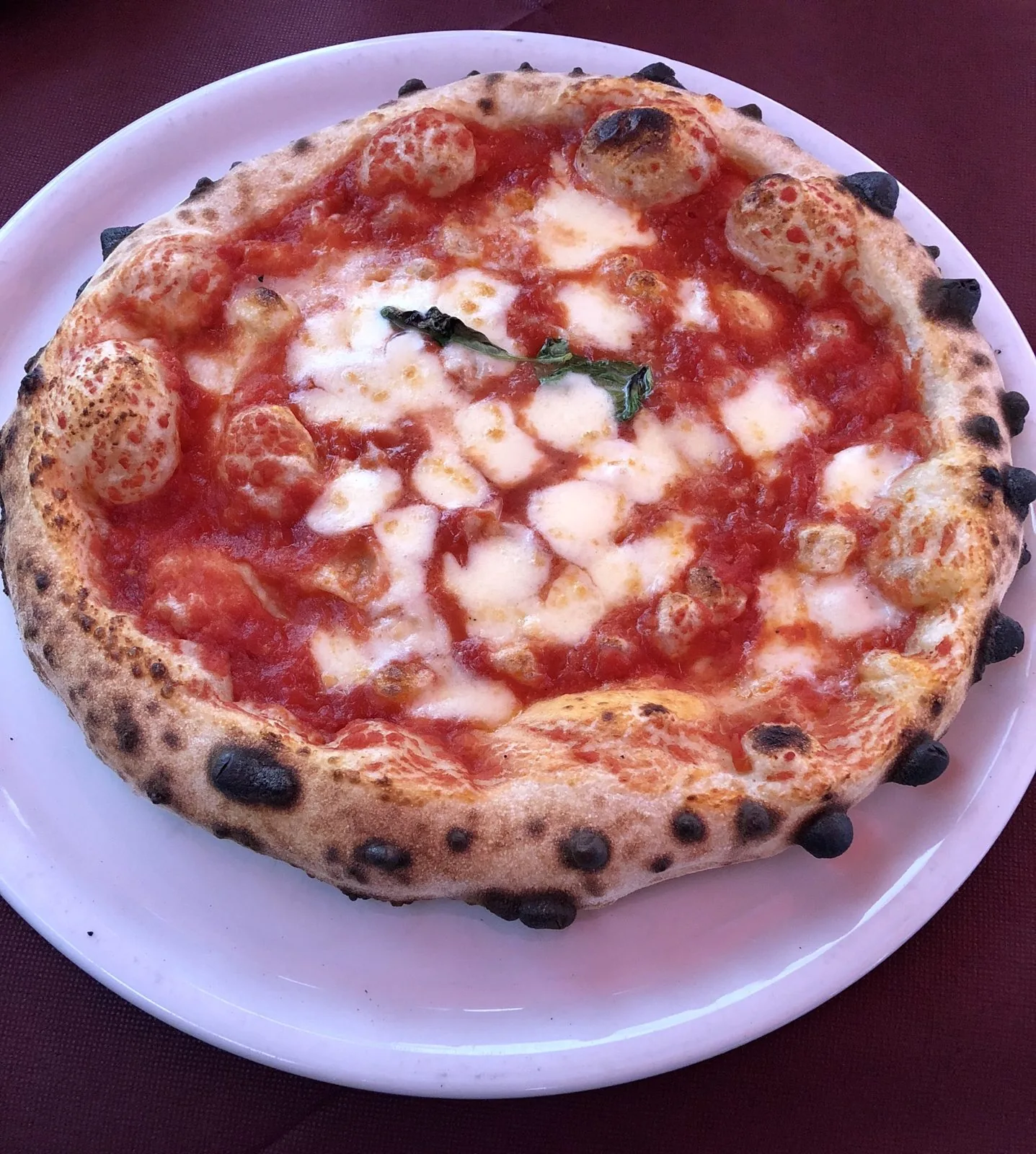 Pizza margherita napoletana su un piatto bianco, con pomodoro, mozzarella fusa, una foglia di basilico e cornicione alto con bruciature
